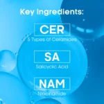 face facts ceramide blemish gel moisturizer ingredients saicylic acid